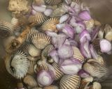Foto langkah ke 2 dari resep Kerang Dara Rebus.