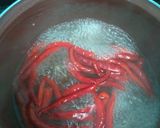 Foto del paso 1 de la receta: Salsa de chile de Árbol estilo Jalisco