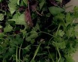 عکس مرحله 1 از دستور خورش ریحون با گوشت قلقلی