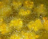 દાળવડા (Dal Vada Recipe In Gujarati) રેસીપી સ્ટેપ2ફોટો