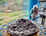 Foto del paso 3 de la receta: Bizcocho de vainilla y fruta (al microondas)