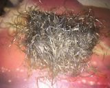 Hình bước làm 1 của món Nem rán