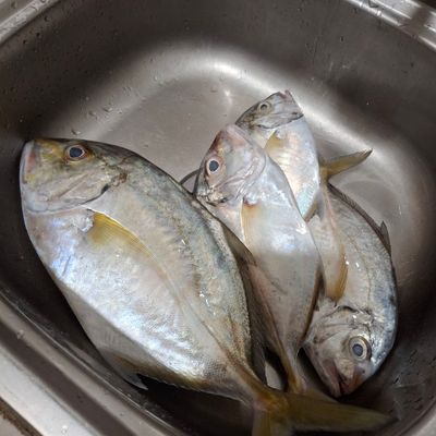Langkah 1