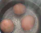 Foto del paso 1 de la receta: Porra malagueña de mi madre