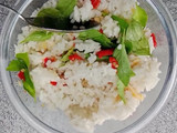 Sego Hayam Surawung
