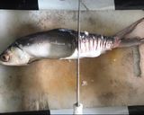 Foto langkah ke 1 dari resep Bandeng bumbu Serani.