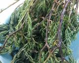 รูปขั้นตอนการทำที่ 1 ของ ยำใบชะคราม