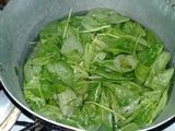Espinaca con fideos