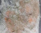 Foto del paso 3 de la receta: Gravlax de salmón