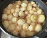 Foto del passaggio 8 della ricetta 211 • Cipolline borettane in agrodolce