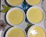 A picture of step 6 of Mango Yogurt.