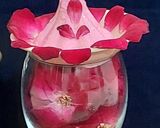 A picture of step 5 of Rose paneer modak.