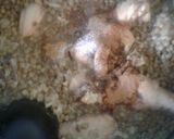 عکس مرحله 1 از دستور عدس پلو با مرغ و ته دیگ کدو حلوایی