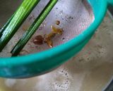 Foto langkah ke 2 dari resep Bubur Singkong Lumer.
