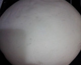 Foto del paso 3 de la receta: Pulguitas de pan con suero de queso