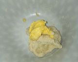 Foto langkah ke 1 dari resep 16. Japanese Bread Milk.