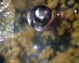 A picture of step 5 of Patoli.