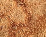 A picture of step 6 of Autumn chestnut pancakes #2.