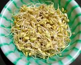 Foto langkah ke 3 dari resep Tumis Kecambah Kedelai.