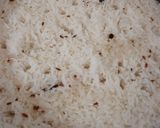 જીરા રાઈસ (Jira rice recipe in gujrati) રેસીપી સ્ટેપ1ફોટો