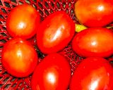 टोमेटो सूप (Tomato soup recipe in hindi) रेसिपी चरण 1 फोटो