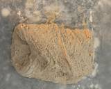 No- knead bread recipe step 4 photo