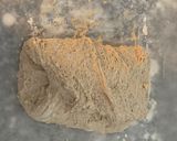 A picture of step 4 of No- knead bread.