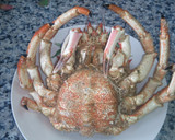 Foto del paso 2 de la receta: 🦀Centolla  a la Donostiarra o (TXANGURRO)🦀