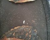 Foto del paso 8 de la receta: Rodaballo a la Plancha con Mayonesa de Humo y Brócoli y Patatas
