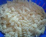 Foto del paso 1 de la receta: Fideos con brócoli