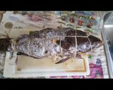 Foto del paso 3 de la receta: Cherna al Cabrito
