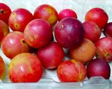Foto del paso 1 de la receta: Refresco de camu camu