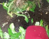 A picture of step 2 of Fajita pasta.