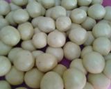 Foto langkah ke 2 dari resep Butter Milk cookies.