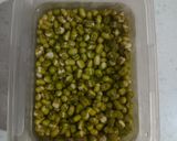 Foto langkah ke 1 dari resep Kacang Hijau Isian Bakpao.