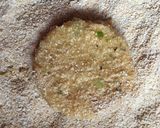 Foto del paso 6 de la receta: Milanesas y bastoncitos de zapallo