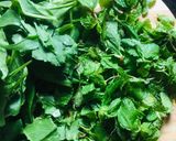 A picture of step 1 of Palak mint green juice.