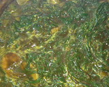 Foto del paso 11 de la receta: Romeritos navideños