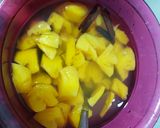Foto langkah ke 4 dari resep Setup Nanas.