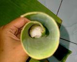 Foto langkah ke 5 dari resep Lemper Pulen isi Abon.