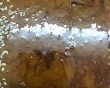 A picture of step 3 of Gur patti.