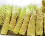 A picture of step 4 of Young Corn Curry Fritters.