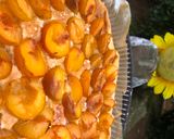 Une image de l'étape 5 de Tarte à la mirabelle.