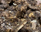 Foto del paso 1 de la receta: Trufas riqui riqui con un ingrediente secreto 🤐