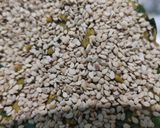 મેથી પાલક ના થેપલા (Methi Palak Thepla Recipe In Gujarati) રેસીપી સ્ટેપ3ફોટો