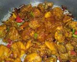 A picture of step 17 of Tikka biryani.