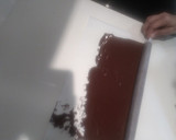 Foto del paso 7 de la receta: Tarta Selva Negra