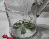 Foto del paso 1 de la receta: Menta, jengibre jugo refrescante