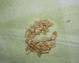 Foto del paso 1 de la receta: Dulce de limón casero