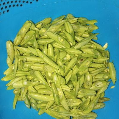 Langkah 2